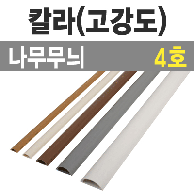 몰드