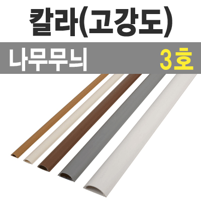 몰드