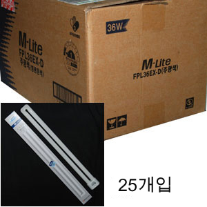 컴팩트형광램프