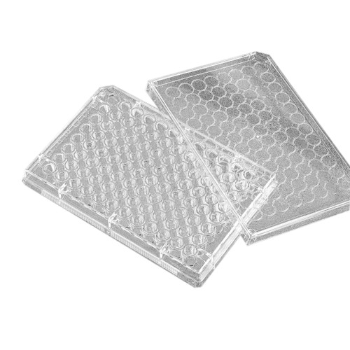 96WELL PLATE