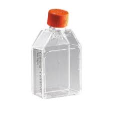 CELL CULTURE FLASKS