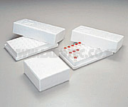 SAMPLE CASE