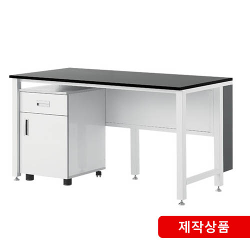 벽면실험대