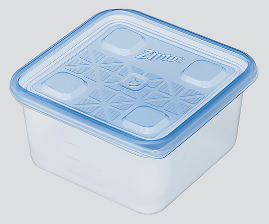 CONTAINER RECTANGULAR