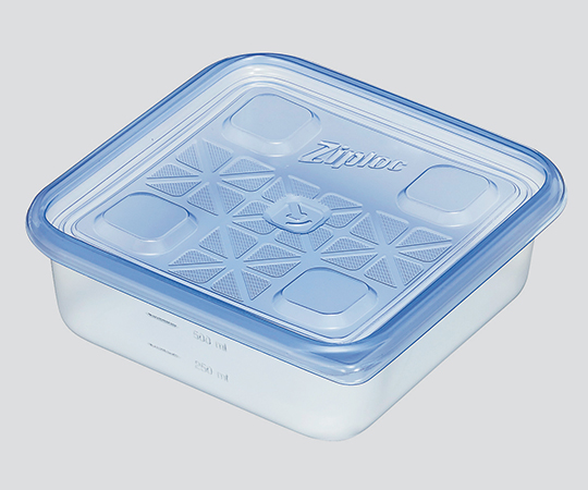 CONTAINER RECTANGULAR