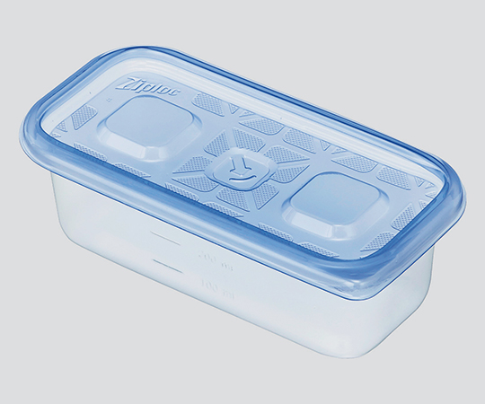 CONTAINER RECTANGULAR
