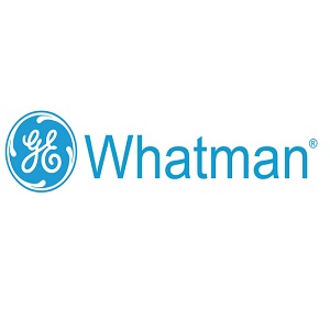 GLASS MICROFIBER FILTER