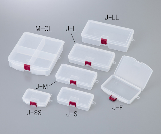 PP SAMPLE CASE