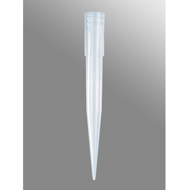 PIPET TIP
