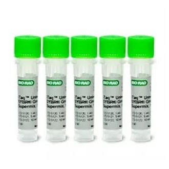 ITAQ UNIVERSAL SYBR GREEN SUPERMIX