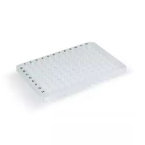 PCR PLATE