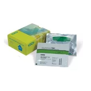 MINI-PROTEAN TGX™ PRECAST PROTEIN GELS