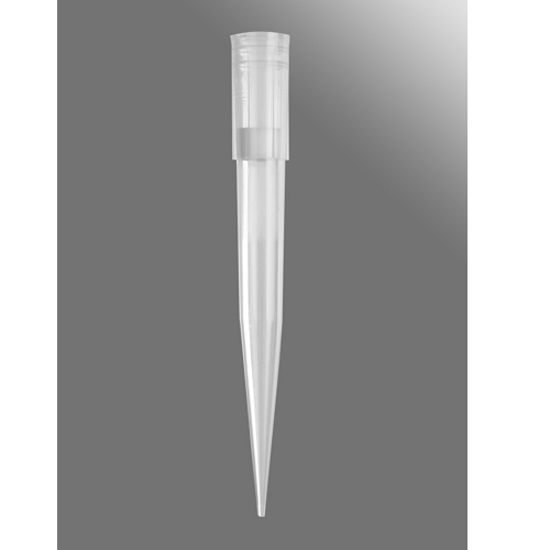 FILTER TIP