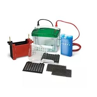 MINI TRANS-BLOT ELECTROPHORETIC TRANSFER CELL