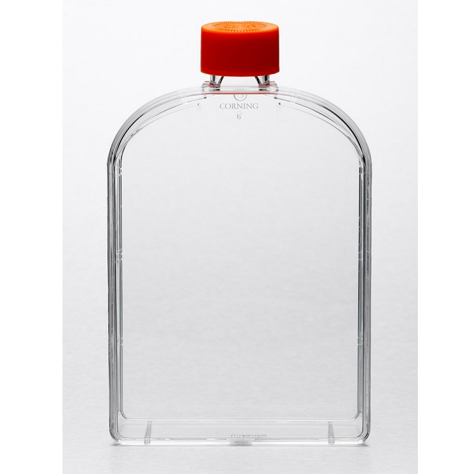 CELL CULTURE FLASKS