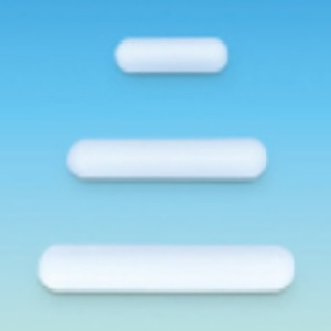 MAGNETIC STIRRER BAR