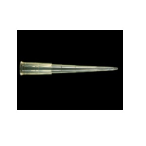 YELLOW TIP