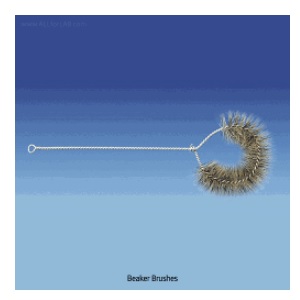 BEAKER BRUSH