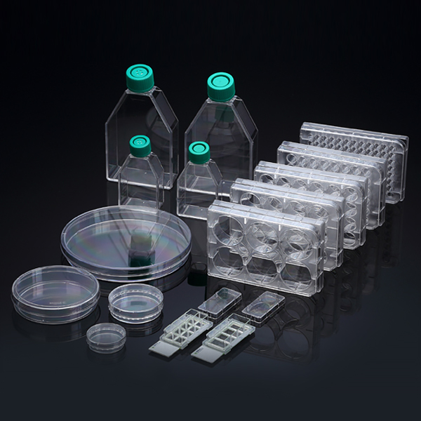 POLY-D-LYSINE(PDL)COATED PLATE 96WELL