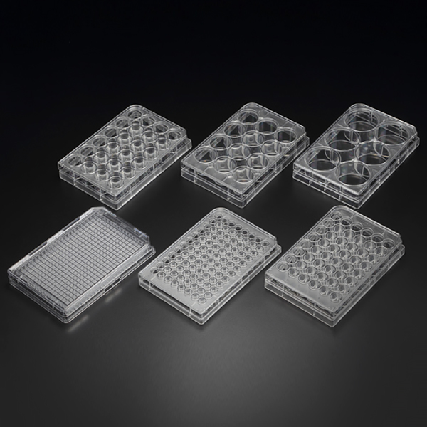 CELL CULTURE PLATE