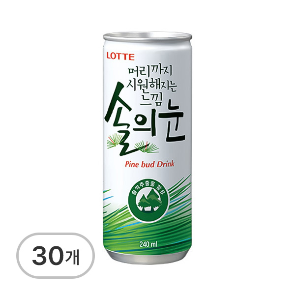 솔의눈
