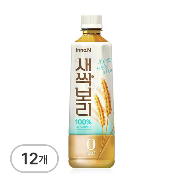 새싹보리차