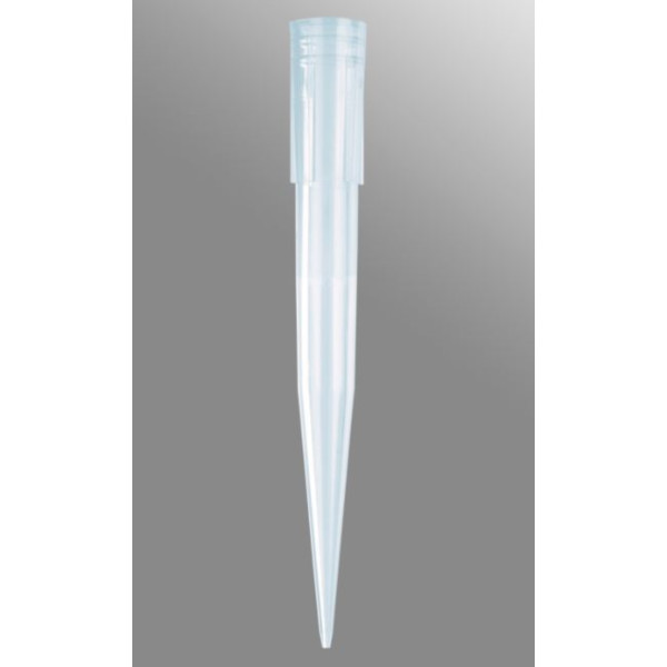 PIPET TIP