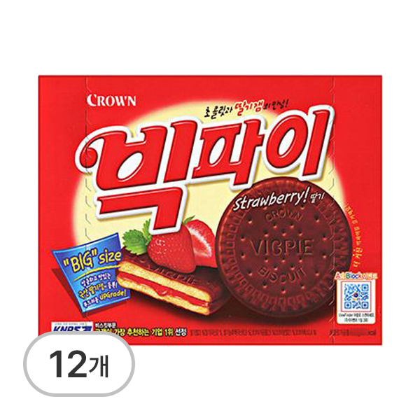 빅파이