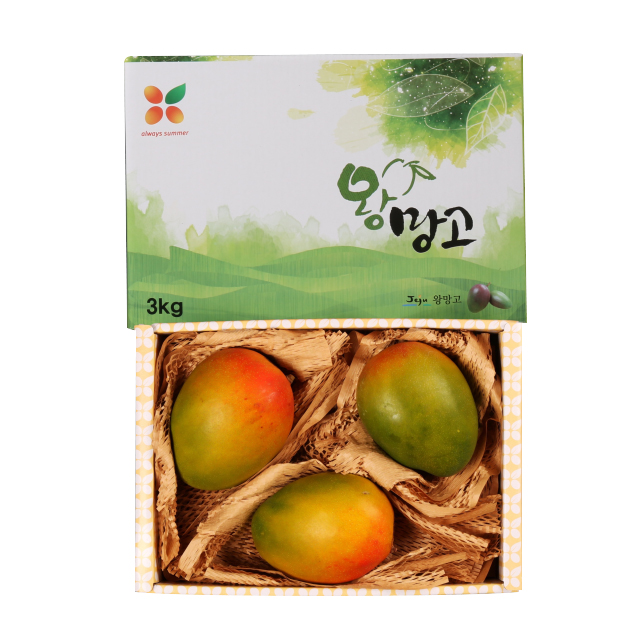 [25년 추석]제주과일세트
