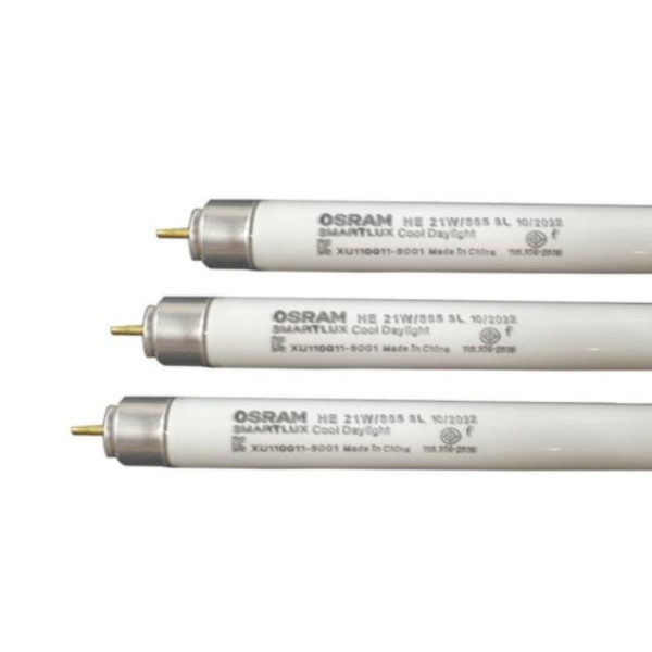 T5형광램프