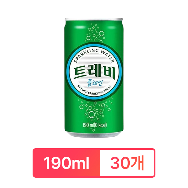 트레비
