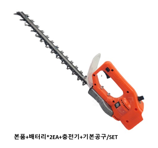 충전전정기
